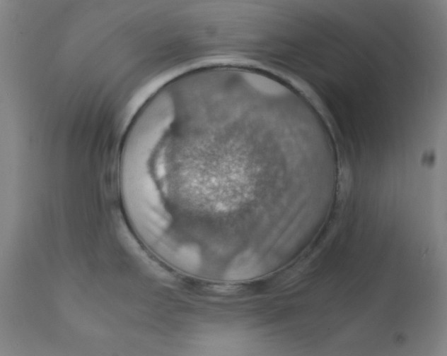 X0000112151295200909041054