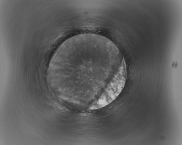 X0000112151297200909041054