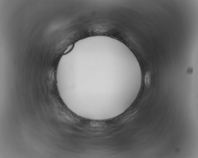 X0000112151299200909041054