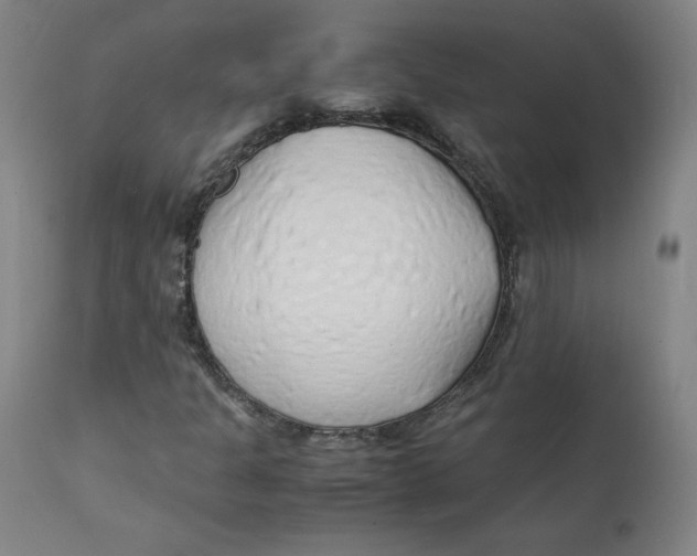 X0000112151301200909041054