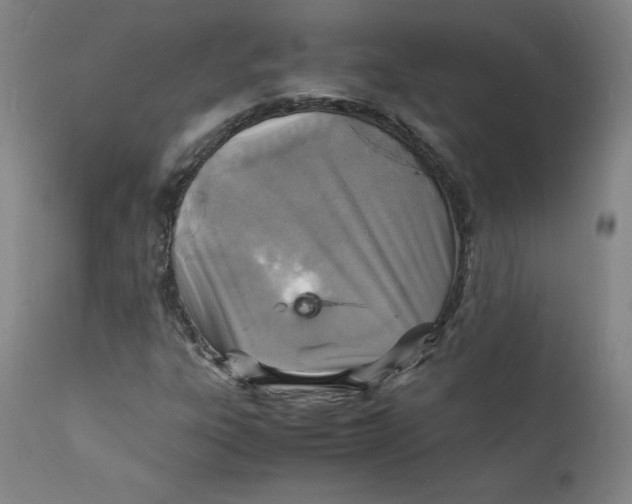 X0000112151303200909041054