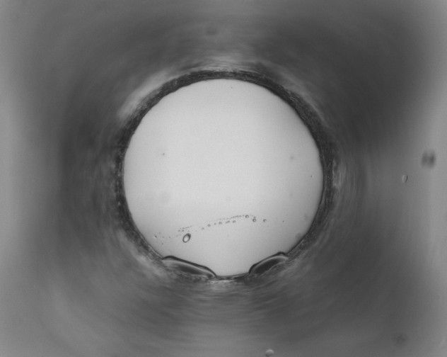 X0000112151304200909041054