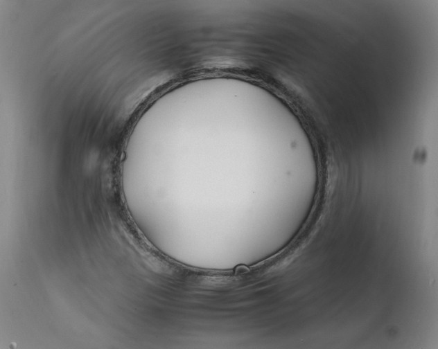 X0000112151305200909041054