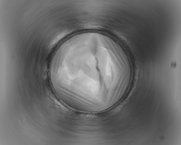 X0000112151306200909041054