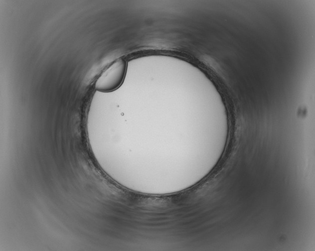 X0000112151307200909041054