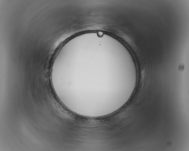 X0000112151308200909041054