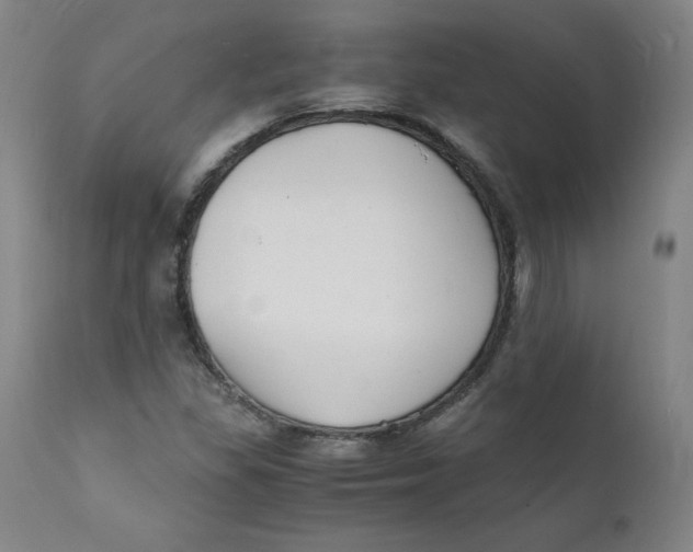 X0000112151309200909041054