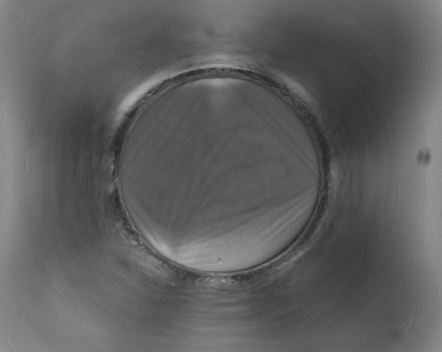 X0000112151310200909041054