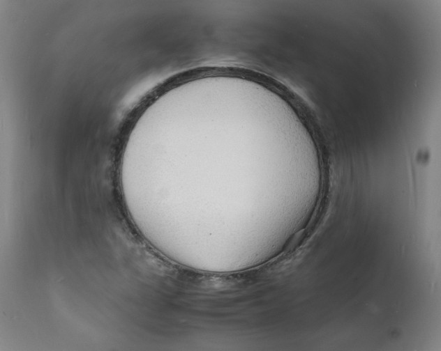 X0000112151311200909041054