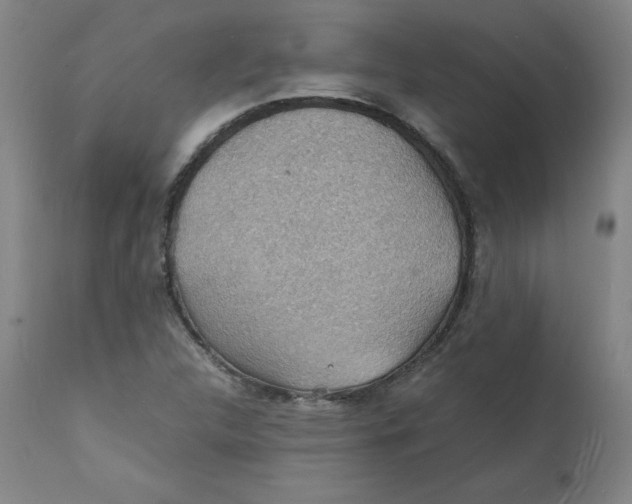 X0000112151312200909041054