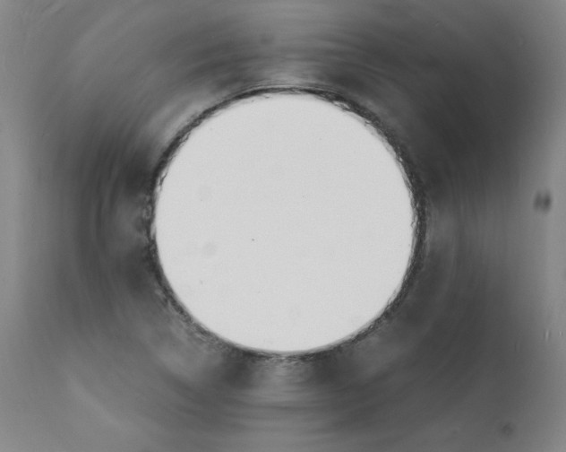 X0000112151314200909041054