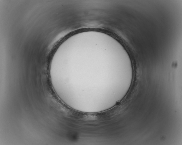 X0000112151315200909041054