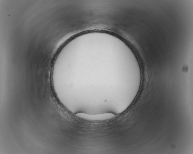 X0000112151316200909041054