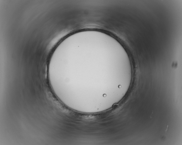 X0000112151317200909041054