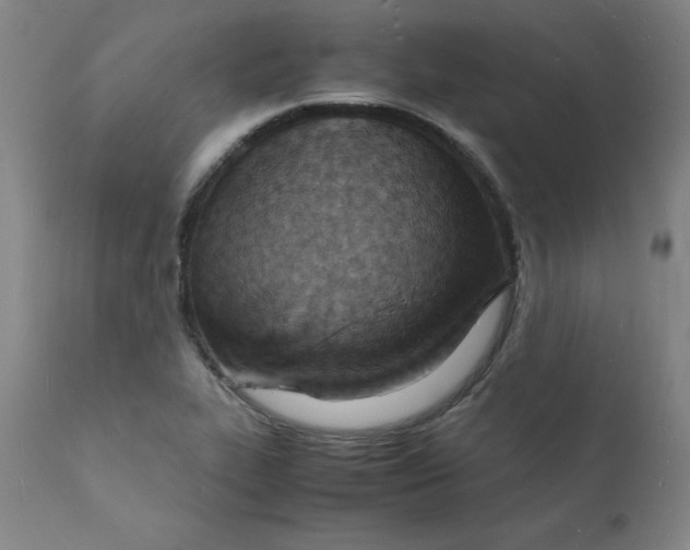 X0000112151319200909041054