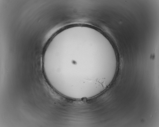 X0000112151320200909041054