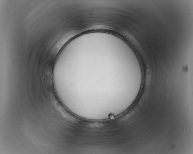 X0000112151321200909041054