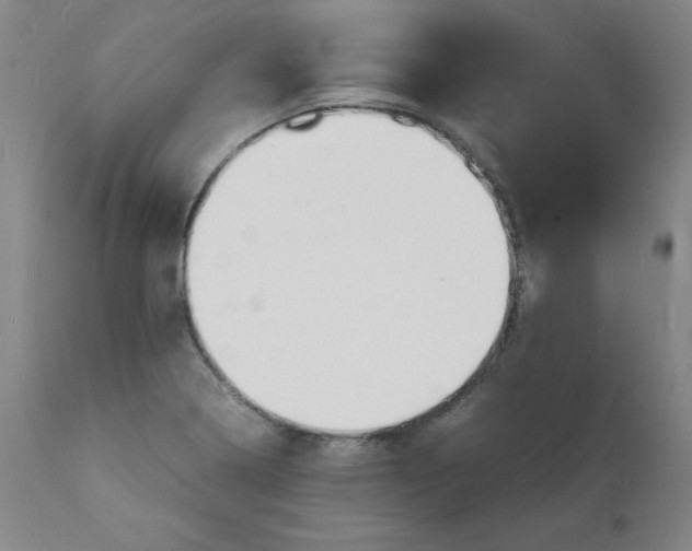 X0000112151322200909041054