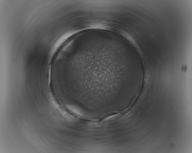 X0000112151323200909041054