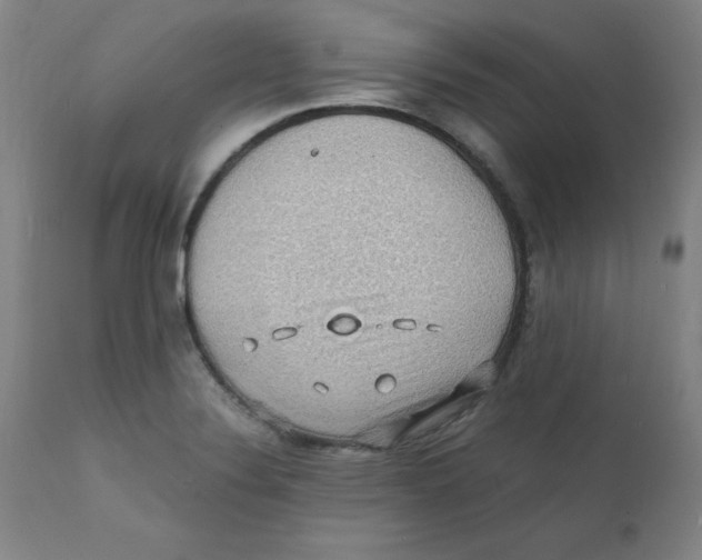 X0000112151324200909041054