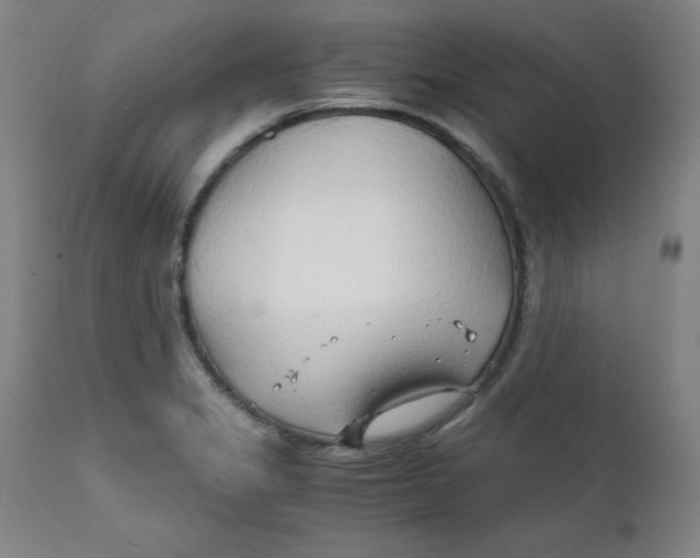 X0000112151325200909041054