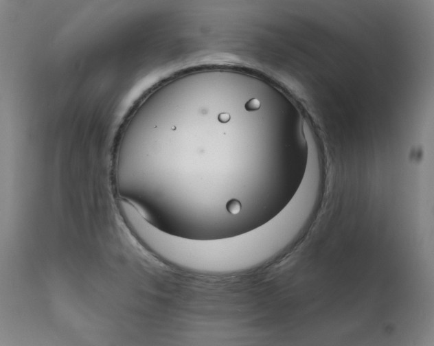 X0000112151326200909041054