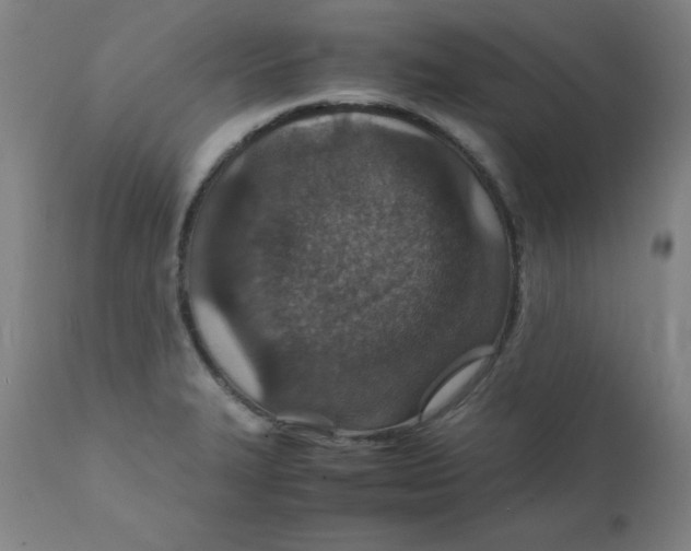 X0000112151327200909041054