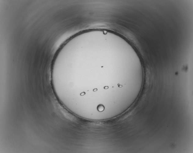 X0000112151328200909041054