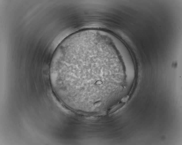 X0000112151329200909041054