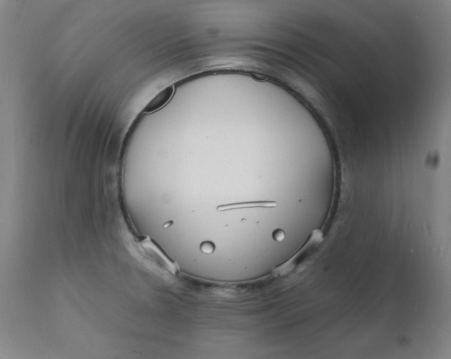 X0000112151330200909041054