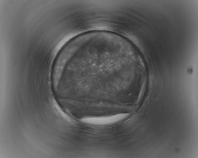 X0000112151331200909041054