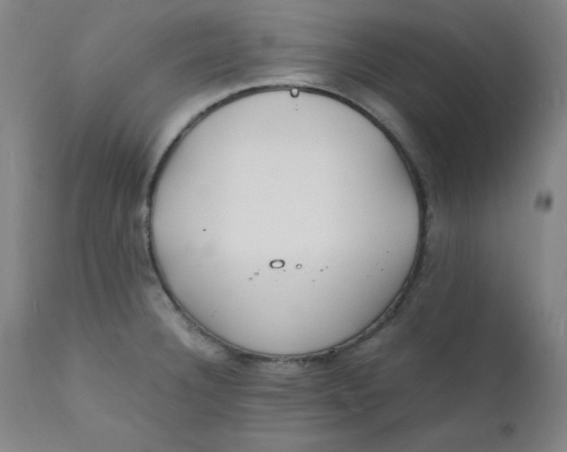 X0000112151332200909041054