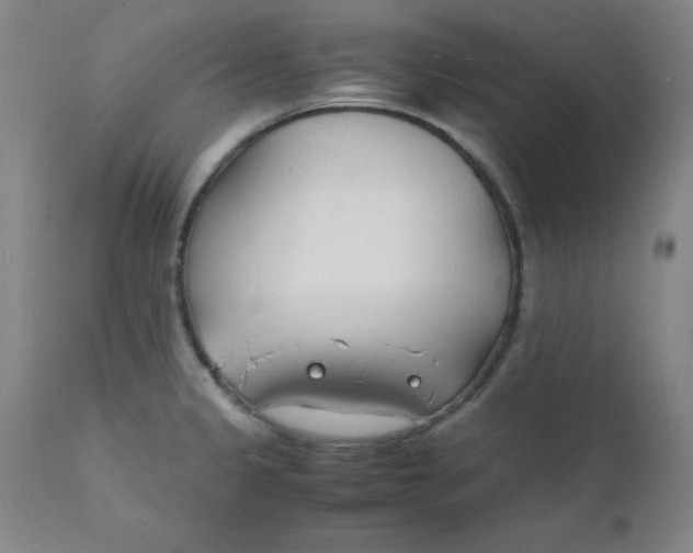 X0000112151333200909041054