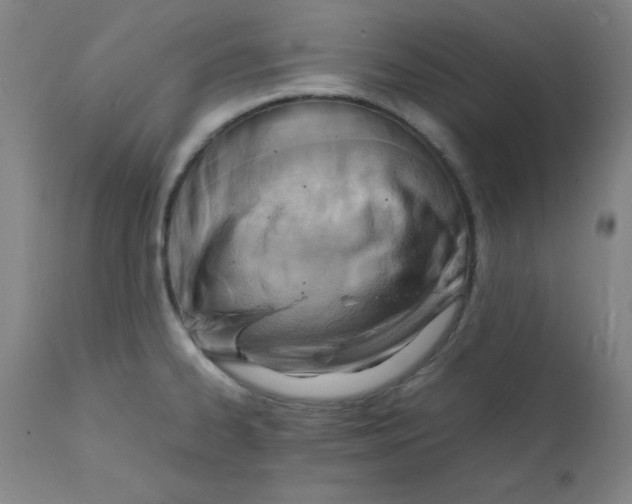 X0000112151334200909041054