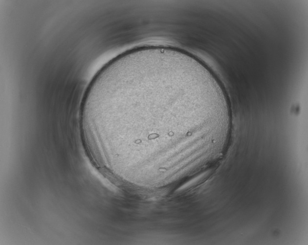 X0000112151335200909041054