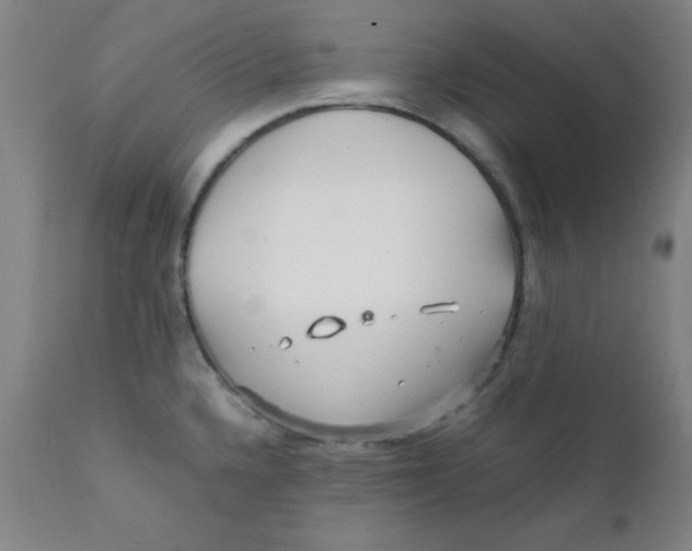 X0000112151336200909041054