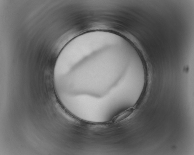 X0000112151337200909041054