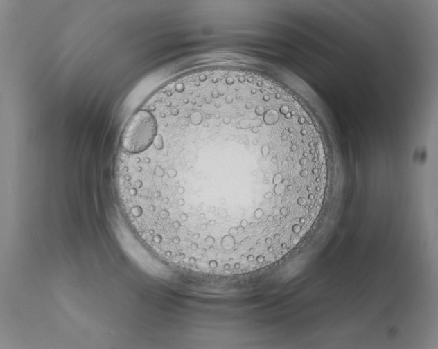 X0000112151338200909041054