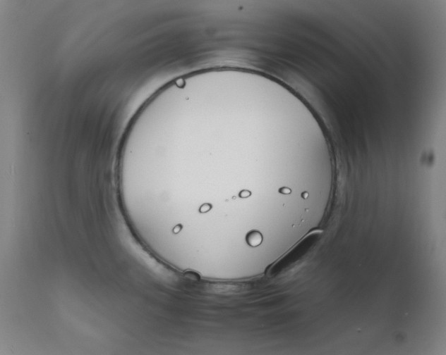 X0000112151339200909041054