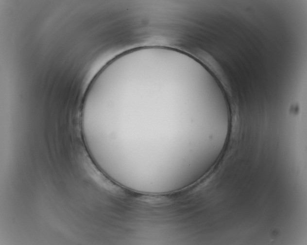 X0000112151340200909041054