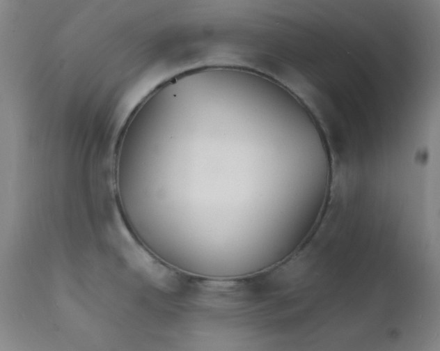 X0000112151342200909041054