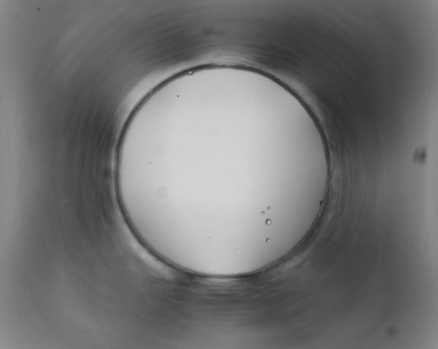 X0000112151343200909041054