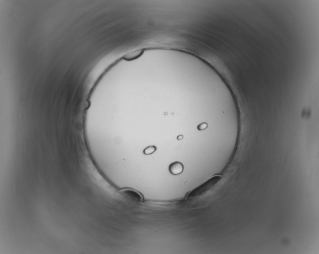 X0000112151344200909041054