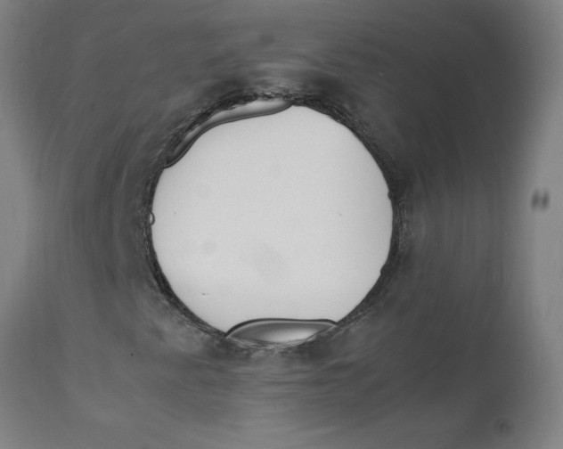 X0000112151345200909041054