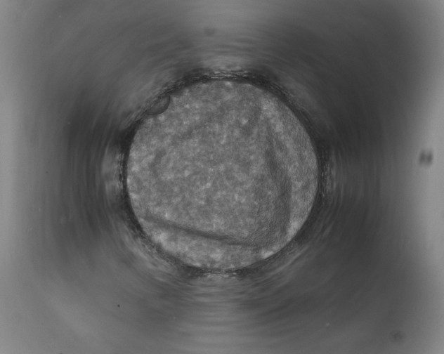 X0000112151346200909041054