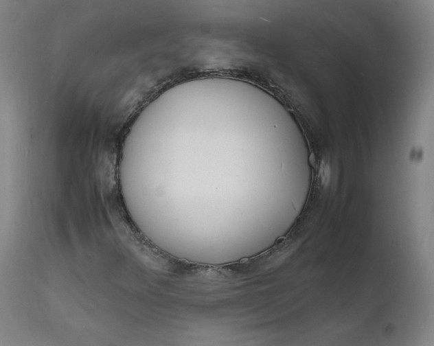 X0000112151348200909041053