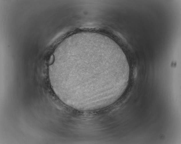 X0000112151350200909041053