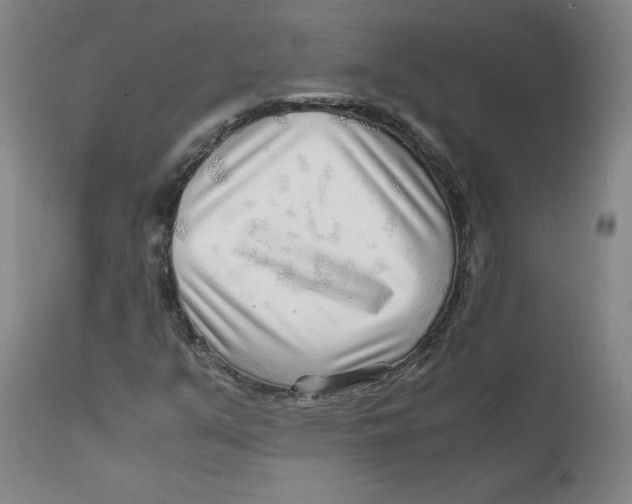 X0000112151351200909041053