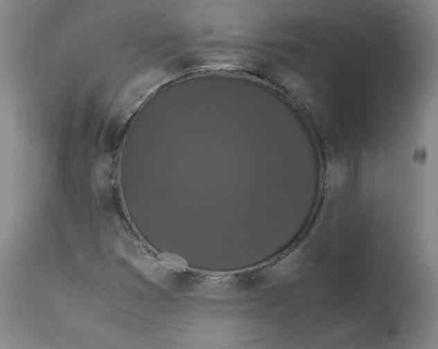 X0000112151353200909041053