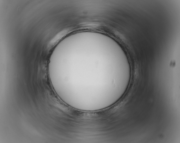 X0000112151354200909041053